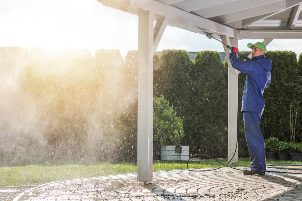 Best Pre-Holiday Cleaning  in Fontana, CA